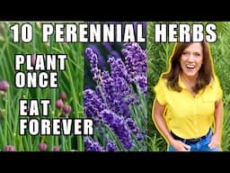 TOP 10 BEST Perennial Herbs To Grow in November, Plant Once, Harvest Forever