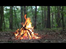 Campfire travel stories and cooking!