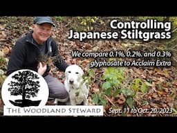 Controlling Japanese Stiltgrass: We Compare 0.1, 0.2, & 0.3% Glyphosate to Acclaim Extra - 10/20/23