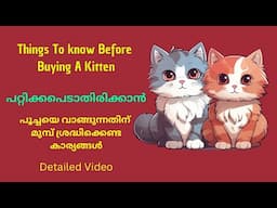 Consider This Before Buying A Kitten | പൂച്ച കുഞ്ഞിനെ വാങ്ങുന്നതിനുമുമ്പ് ശ്രദ്ധിക്കേണ്ട കാര്യങ്ങൾ