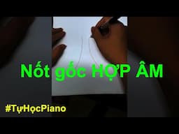 Hướng dẫn tự học Piano - Mấu chốt để hiểu hợp âm dành cho người mới bắt đầu học Piano