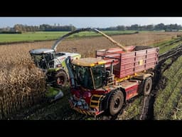 Extreme maize harvest | Vredo to the rescue! | Claas Jaguar 960 Nikkels - Teuge