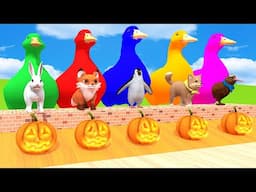 5 Giant Duck Cartoon, Cow, Mammoth, Elephant, Lion, Paint Wild Animals Crossing Fountain Animation