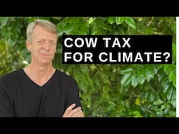 Denmark taxes cows for climate?