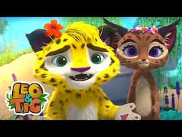 Mau presságio | Desenhos infantil 🐯🦁 Leo & Tig