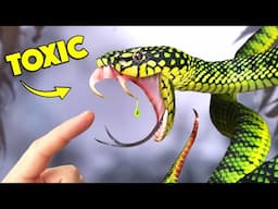 Bite of Rare Snake has Mysterious Venom!