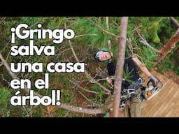 ¡Gringo salva una casa en el árbol!