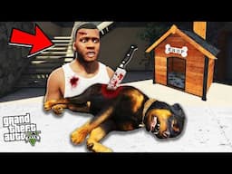 FRANKLIN KILLED CHOP in GTA 5 ?