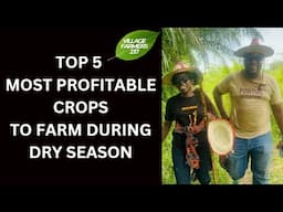 5 Most Profitable Crops To Plant During Dry Season In Cameroon, Agriculture In Cameroon