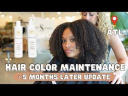 curly hair color salon maintenance + 5 months later update!