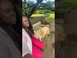 Cute Dog Befriends An African Woman 🐶 pt2