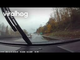 Huge Branch Crashes Onto Highway During Bomb Cyclone || ViralHog