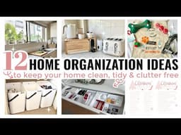 HOME ORGANIZATION IDEAS ft Dog Friendly Co. Pt 1 || THE SUNDAY STYLIST