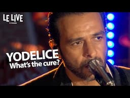 Yodelice - What's the cure (live)