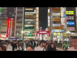 Unbelievable Shinjuku and Kabukicho | 歌舞伎町新宿東京夜