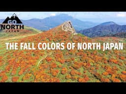 Autumn is the most beautiful time in the mountains of North Japan!