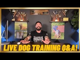 LIVE Dog Training Q&A!