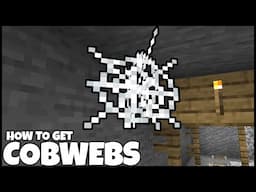 How To Get COBWEBS In MINECRAFT 1.21