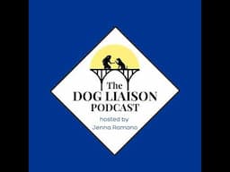 Is Loving Your Dog Enough To Treat Their Mental Health?