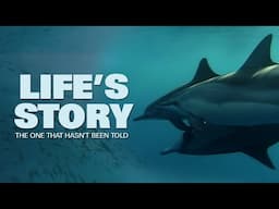 Life's Story | Documentary