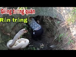 Tướng Quân Hiển Linh Cho Săn Bắt Ẩm Thực Vùng Cao Con Rắn Hổ Mang Trắng Quý Hiếm