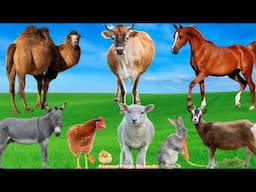 Farm Animal Sounds: Donkey, Cow, Goat, Rabbit, Horse - Animal Videos