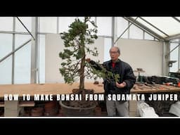 How to make a bonsai from Squamata Juniper