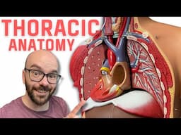 Thoracic Region Anatomy - Every Chest Cavity Structure Labeled!