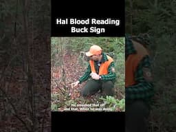 READING BUCK SIGN with Legendary Maine Guide Hal Blood