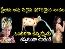 ఆవు పెట్టిన శాపం వాళ్లే స్త్రీలకు ఇన్ని బాధలు | ఏమిటి ఆ శాపం? | infosecret