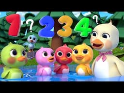 5 Little Ducks (Learn Counting Song) + More Baby Nursery Rhymes & Kids Songs | Lalafin LIVE