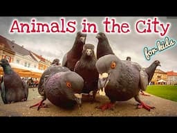 Animals that live in the City! K-3 SCIENCE FOR KIDS 🐻🐦❤️