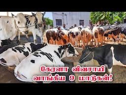 கேரளா செல்லும் தரமான மாடுகள் | Low cost HF breed