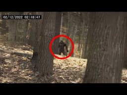 1 Hour of CREEPIEST Bigfoot Encounters Caught on Camera