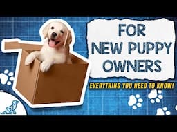 The PERFECT Puppy Training Blueprint