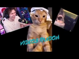 Rubius REACCIONA a VIDEOS RANDOMS y COSITAS