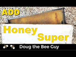 How and When to Add Honey Supers During the Honey Harvest Season