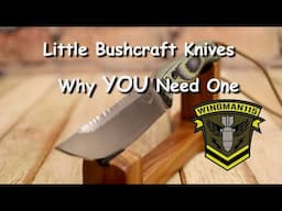 Little Bushcraft Knives Why You Need One