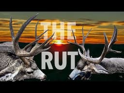 THREE BUCKS DOWN!!! 2 Non-Typical Mule deer hunt | S8E10 | Limitless Outdoors