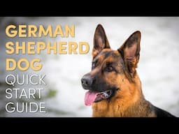 German Shepherd Dog Grooming Supplies (Quick Start Guide)