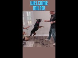 Welcome Miles!