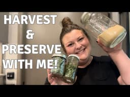 Freeze Dryer Preserving | Freeze Dried Chicken Broth | Harvest Right Freeze Dryer | Bone Broth