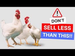 How much should I sell my CHRISTMAS broilers?