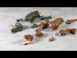 ティラノサウルス＆トリケラトプス プラモデル  - プラノサウルス  Tyrannosaurus & Triceratops　Plastic Model