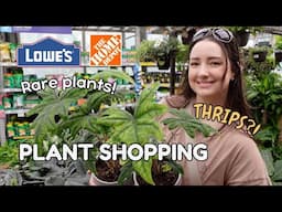 Big Box Plant Shopping! Rare Plants, Thrips 😳 & a Haul! 🌿