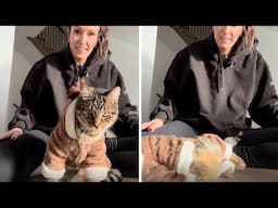 Dramatic cat has hilarious Halloween costume cat-astrophe! #shorts