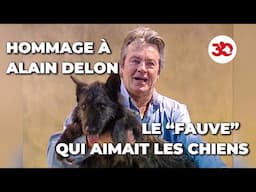 Notre hommage à Alain Delon