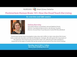 Postmortem Human Brain 101: How the Dead Teach the Living