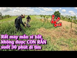 Dành 30 phút để dí bắt CON RẮN và nhận được một bất ngờ LỚN | TGSB #1023