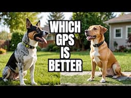 Which GPS Collar is Better for Dogs: SpotOn or Invisible Fence